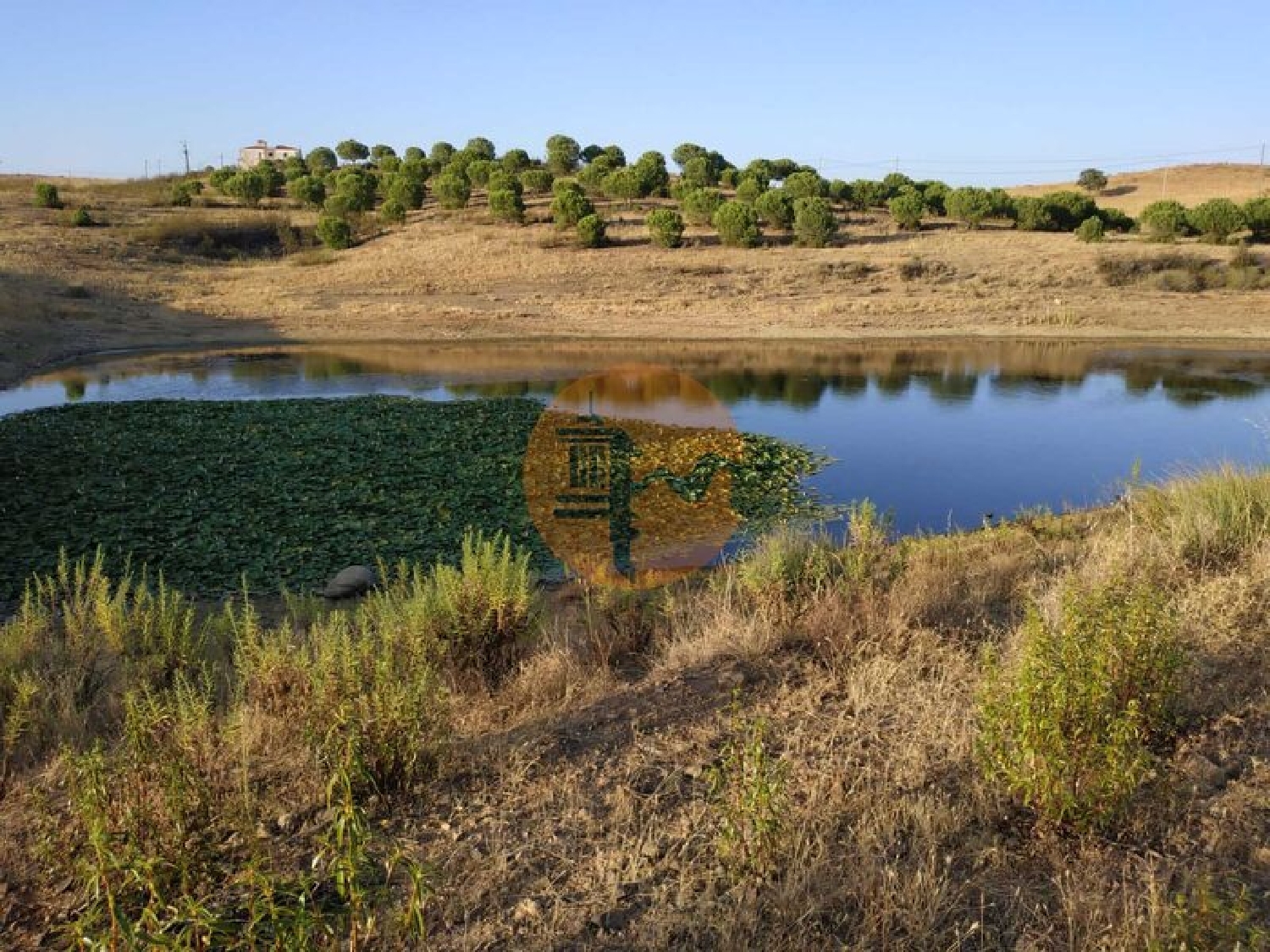 à venda terreno Castro Marim Castro Marim 3
