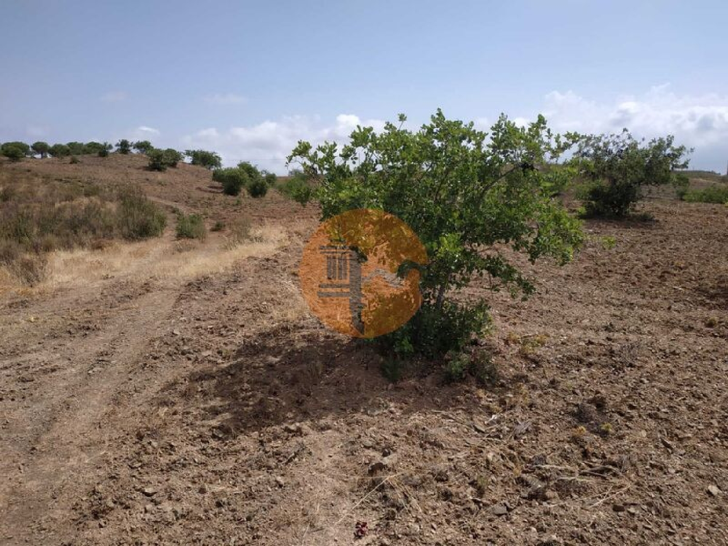  à venda terreno Castro Marim Castro Marim 5