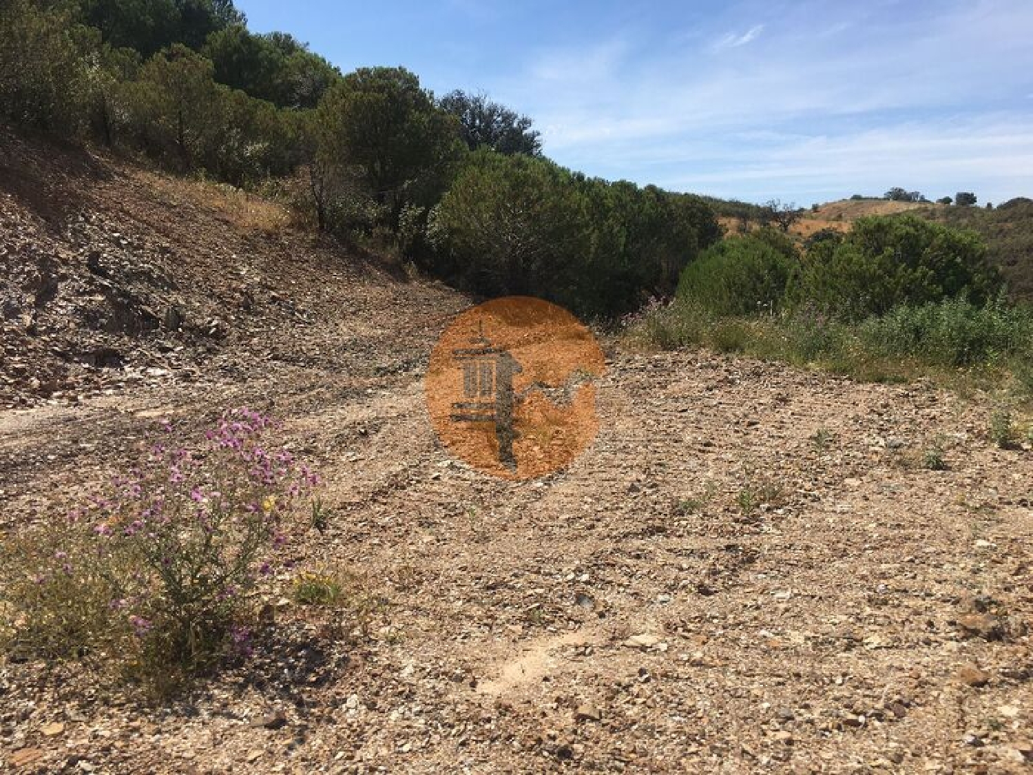  à vendre terrain Castro Marim Castro Marim 5