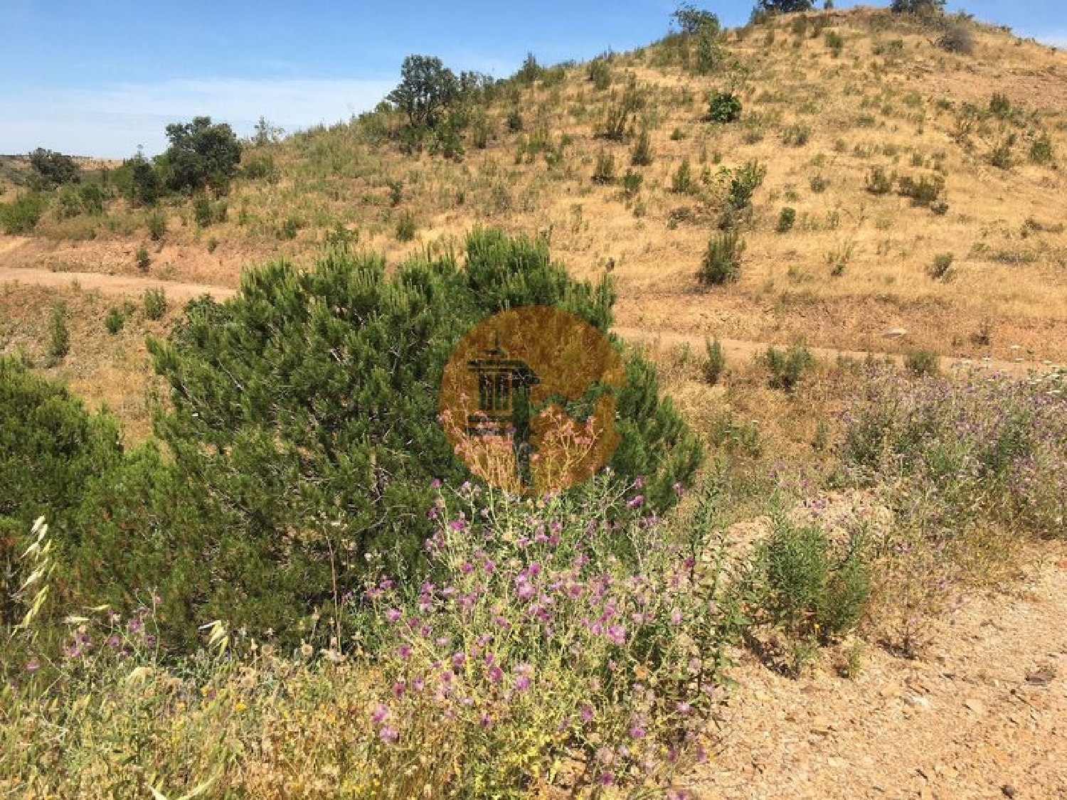  à vendre terrain Castro Marim Castro Marim 6