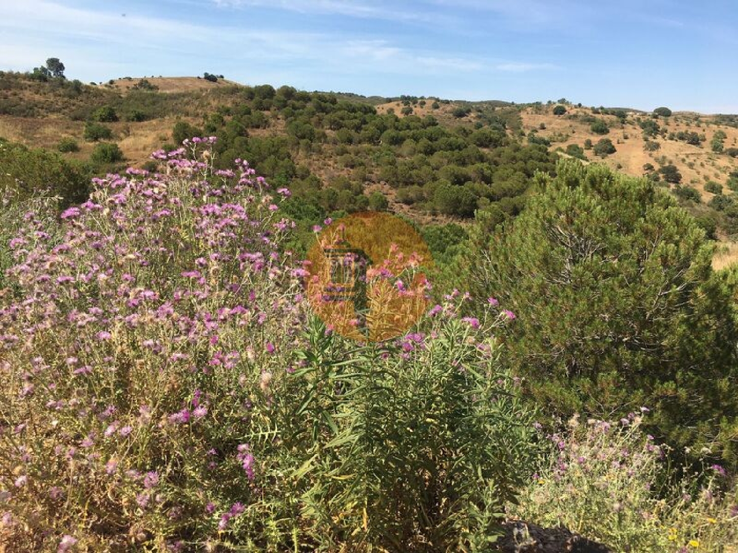  à vendre terrain Castro Marim Castro Marim 7