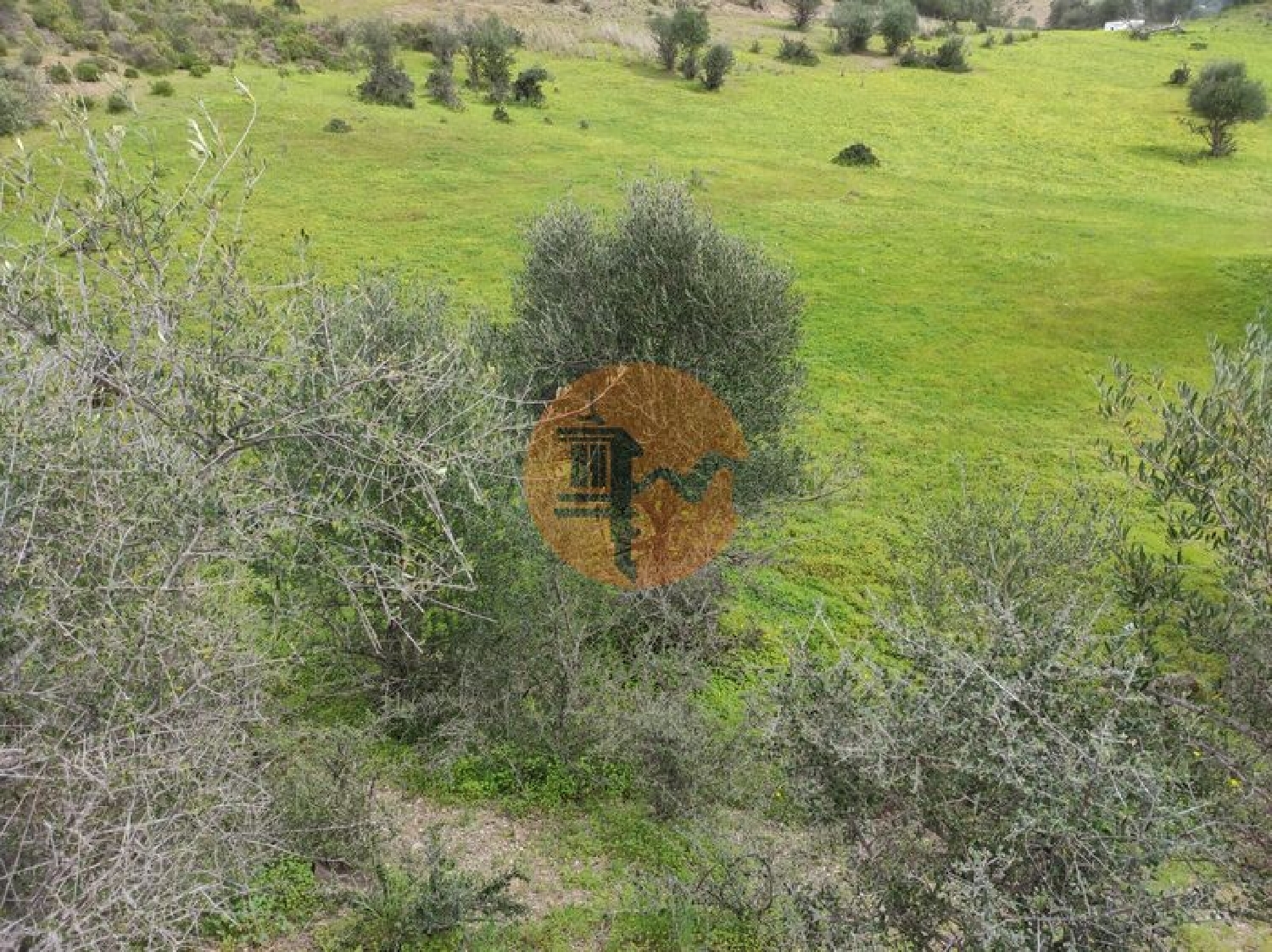  en venta terreno Castro Marim Castro Marim 7