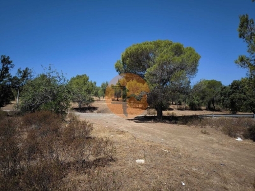 Castro Marim Castro Marim terrein foto