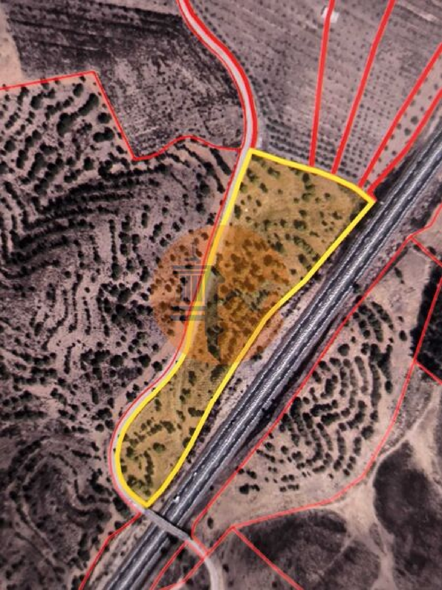  for sale terrain Castro Marim Castro Marim 3