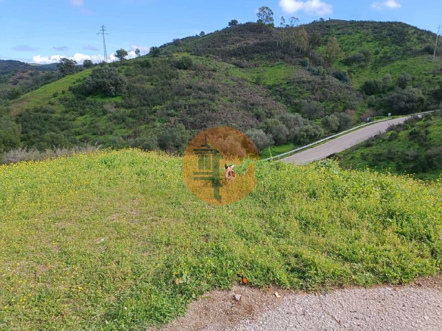  à vendre terrain Castro Marim Castro Marim 7