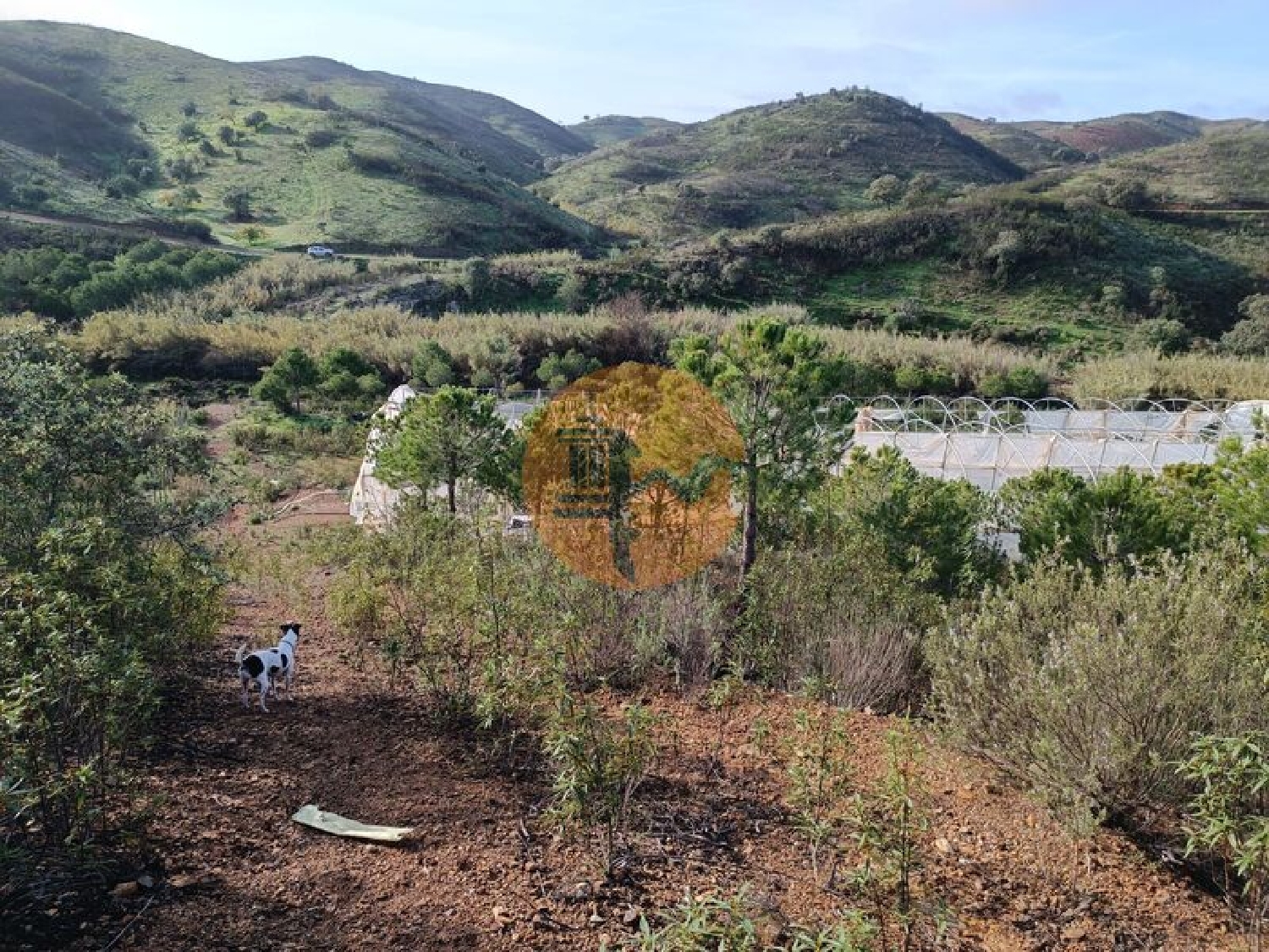  en venta terreno Castro Marim Castro Marim 4