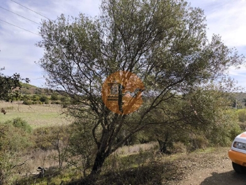 Castro Marim Castro Marim terrain foto 330365