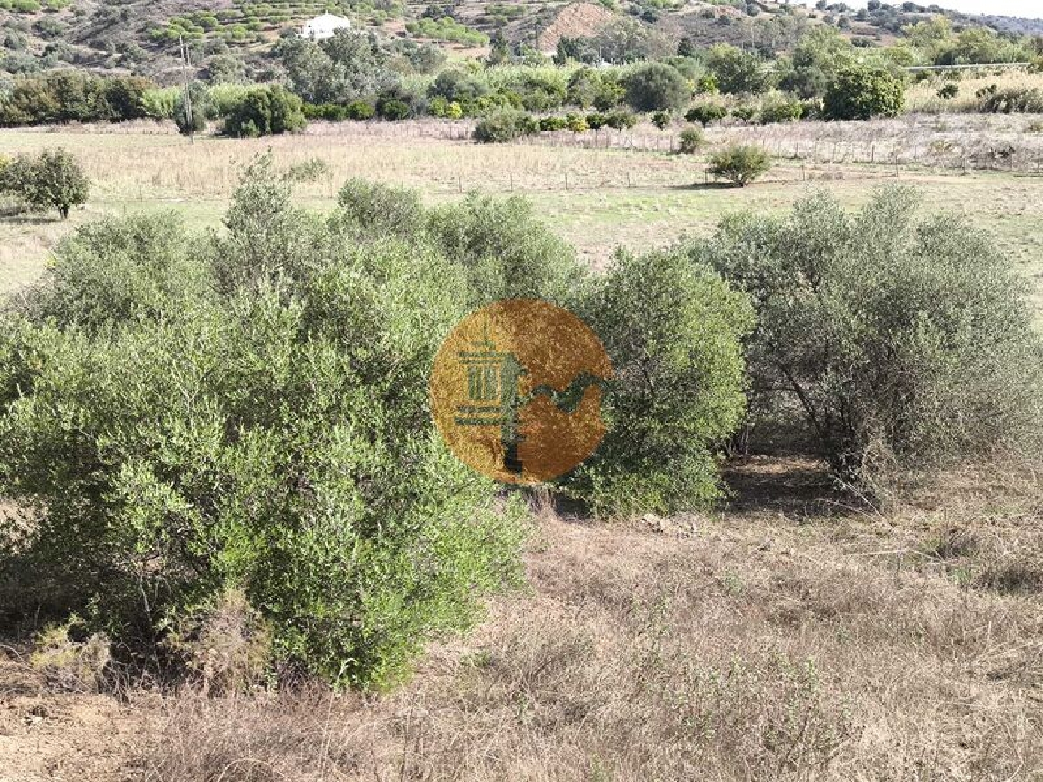  for sale terrain Castro Marim Castro Marim 3