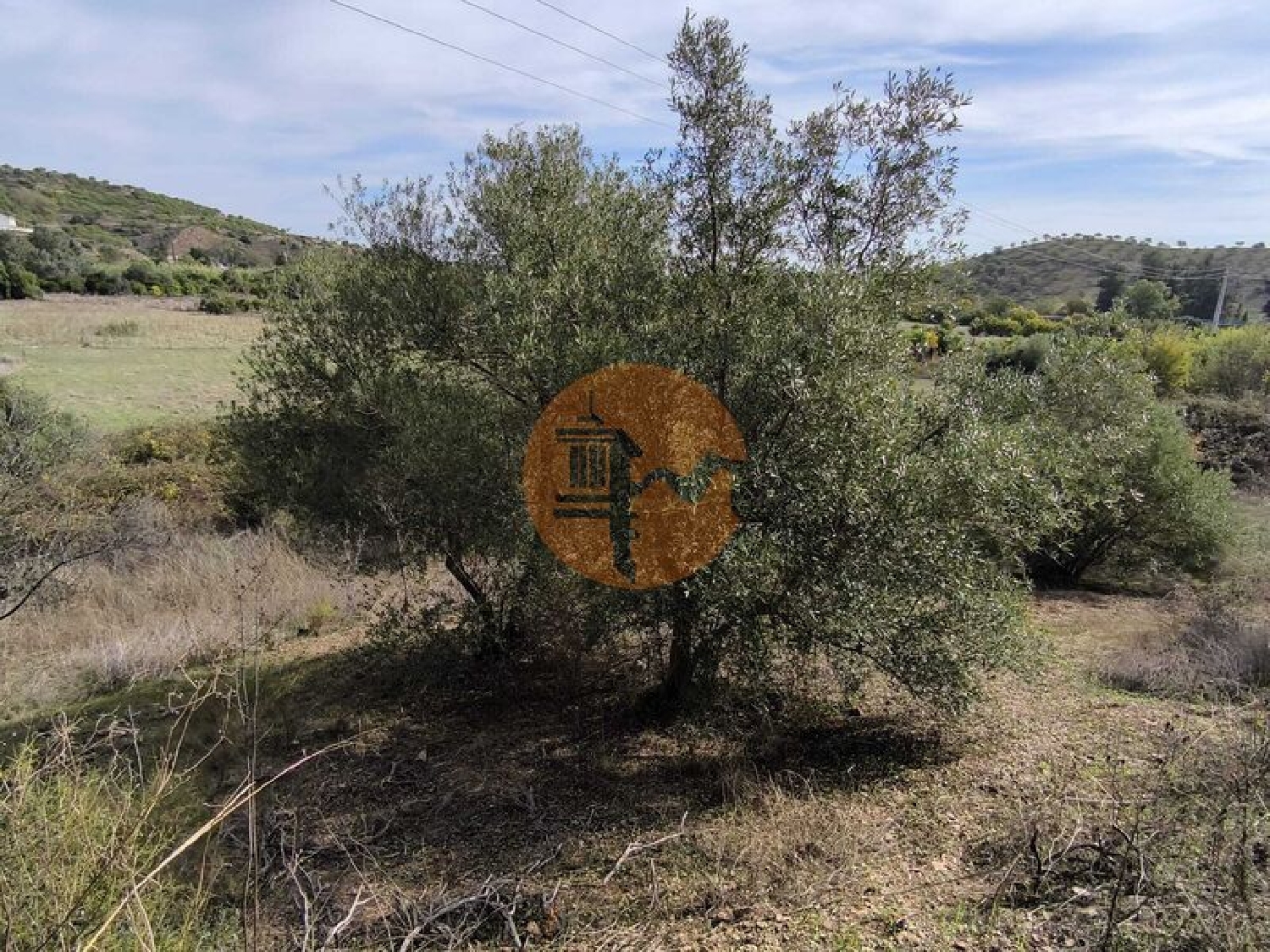  for sale terrain Castro Marim Castro Marim 8