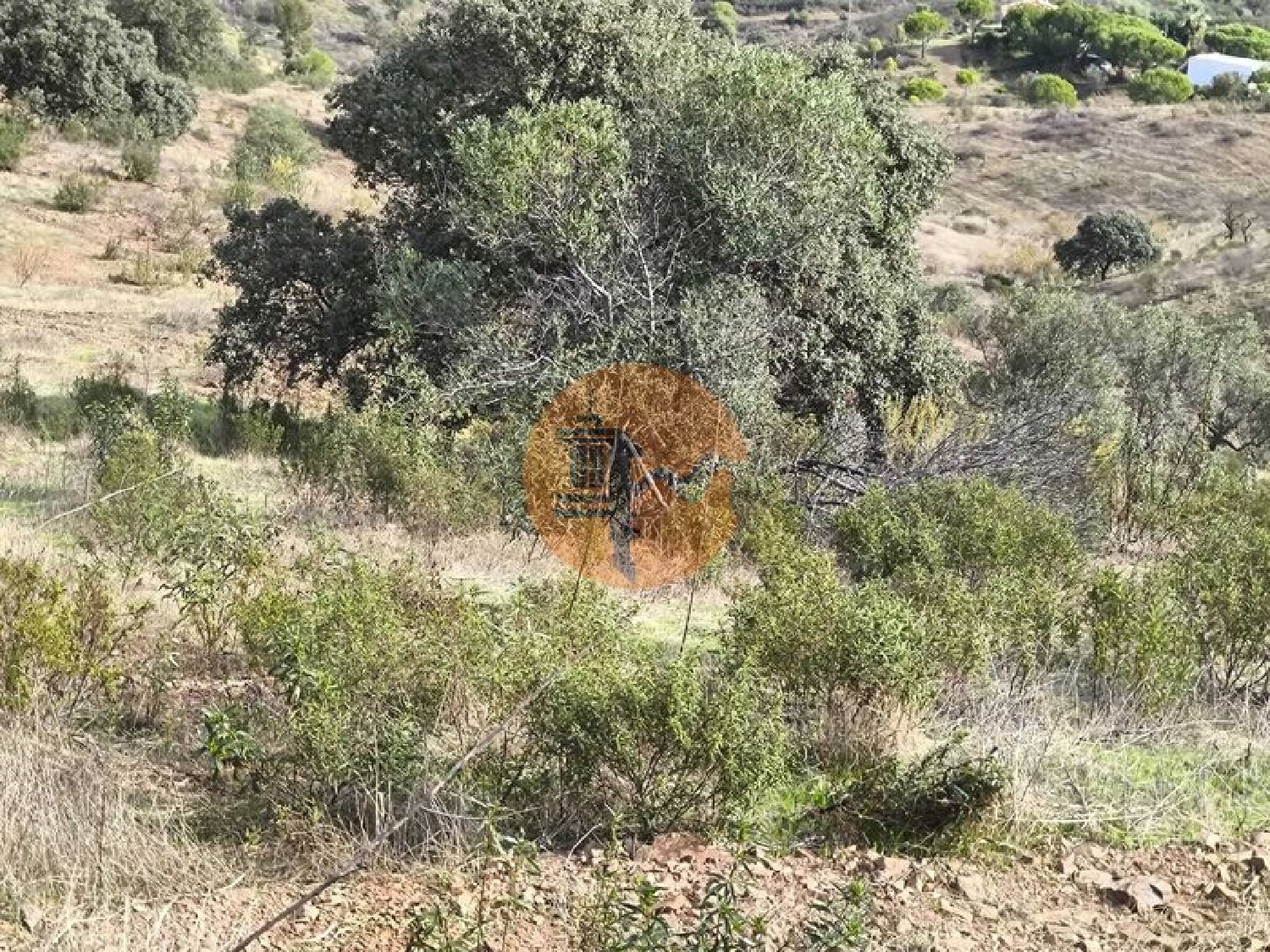 à venda terreno Castro Marim Castro Marim 3