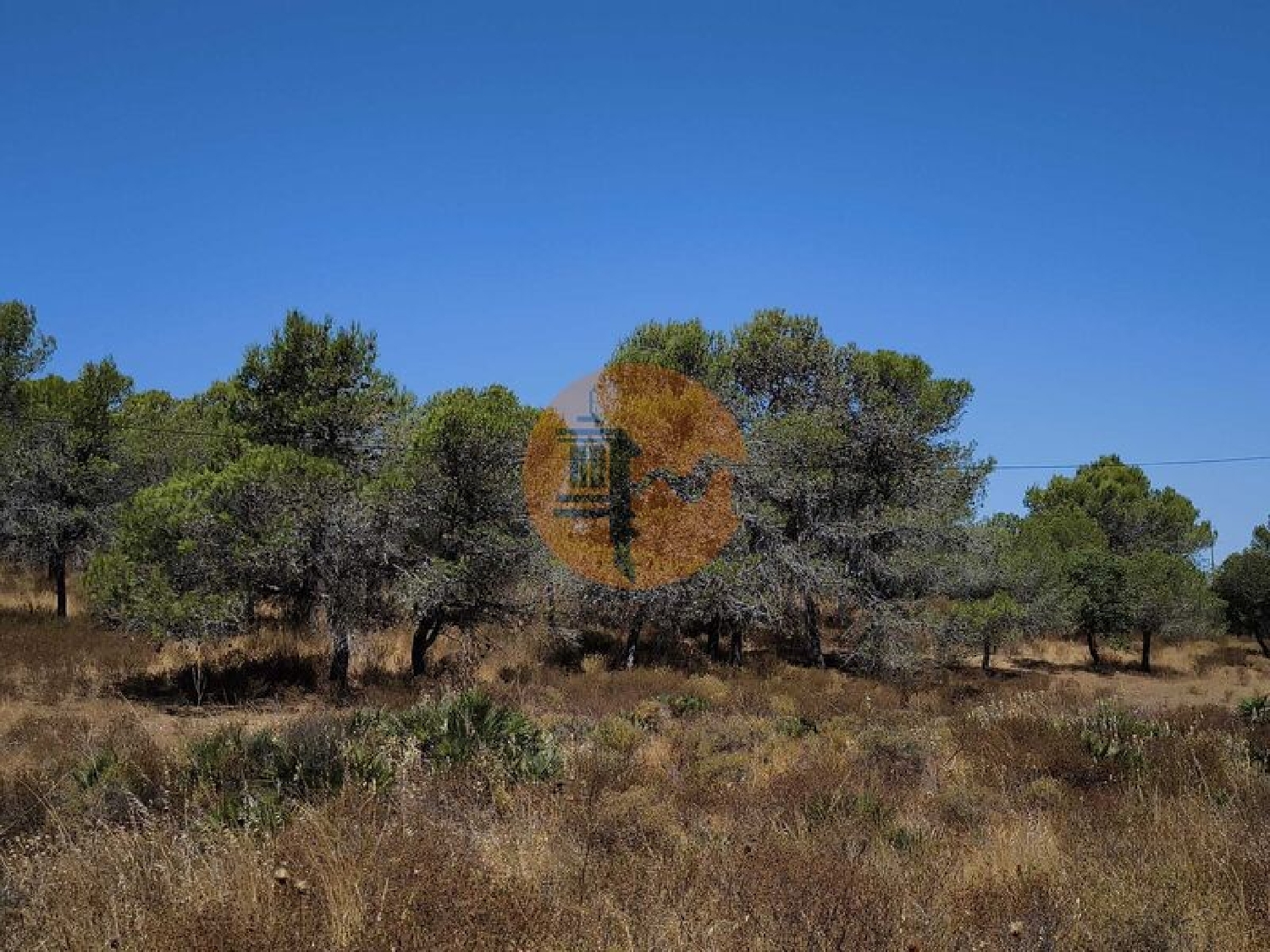  for sale terrain Castro Marim Castro Marim 5