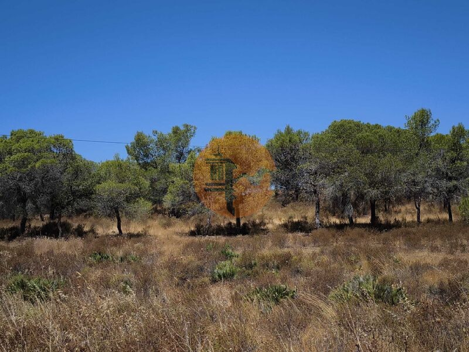  for sale terrain Castro Marim Castro Marim 7