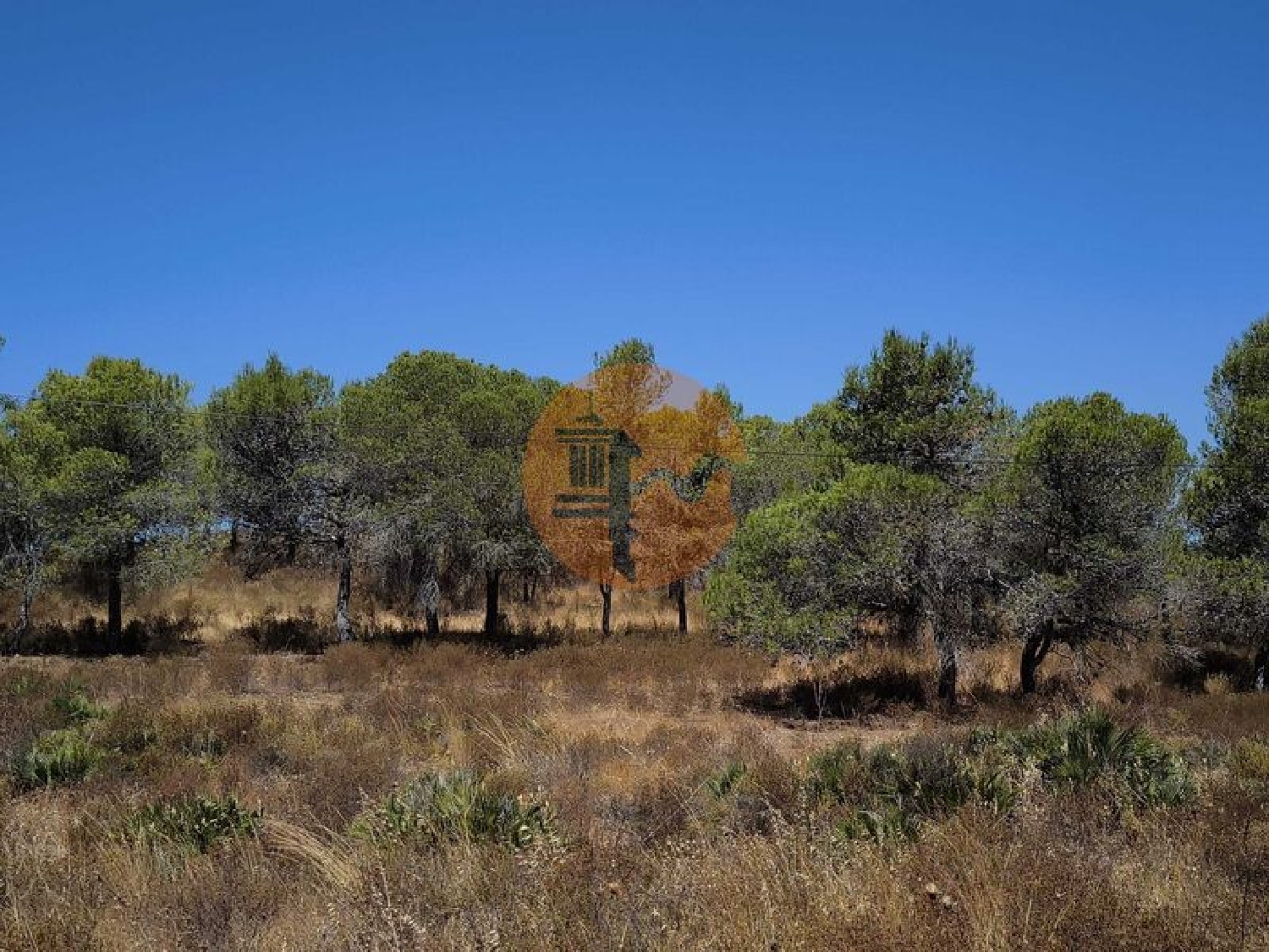  for sale terrain Castro Marim Castro Marim 8