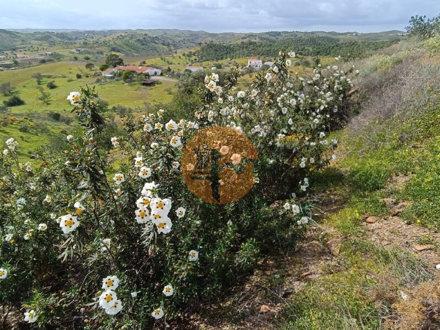  te koop terrein Castro Marim Castro Marim 4
