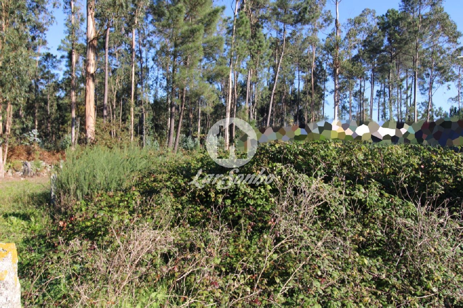  te koop terrein Cavalões Vila Nova De Famalicão 3