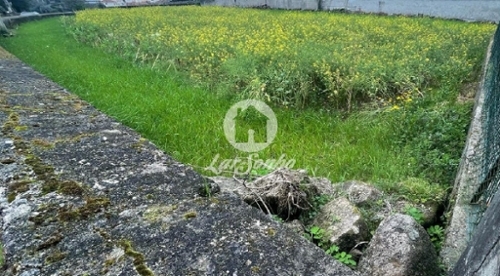 Cavalões Vila Nova De Famalicão terreno foto 321001