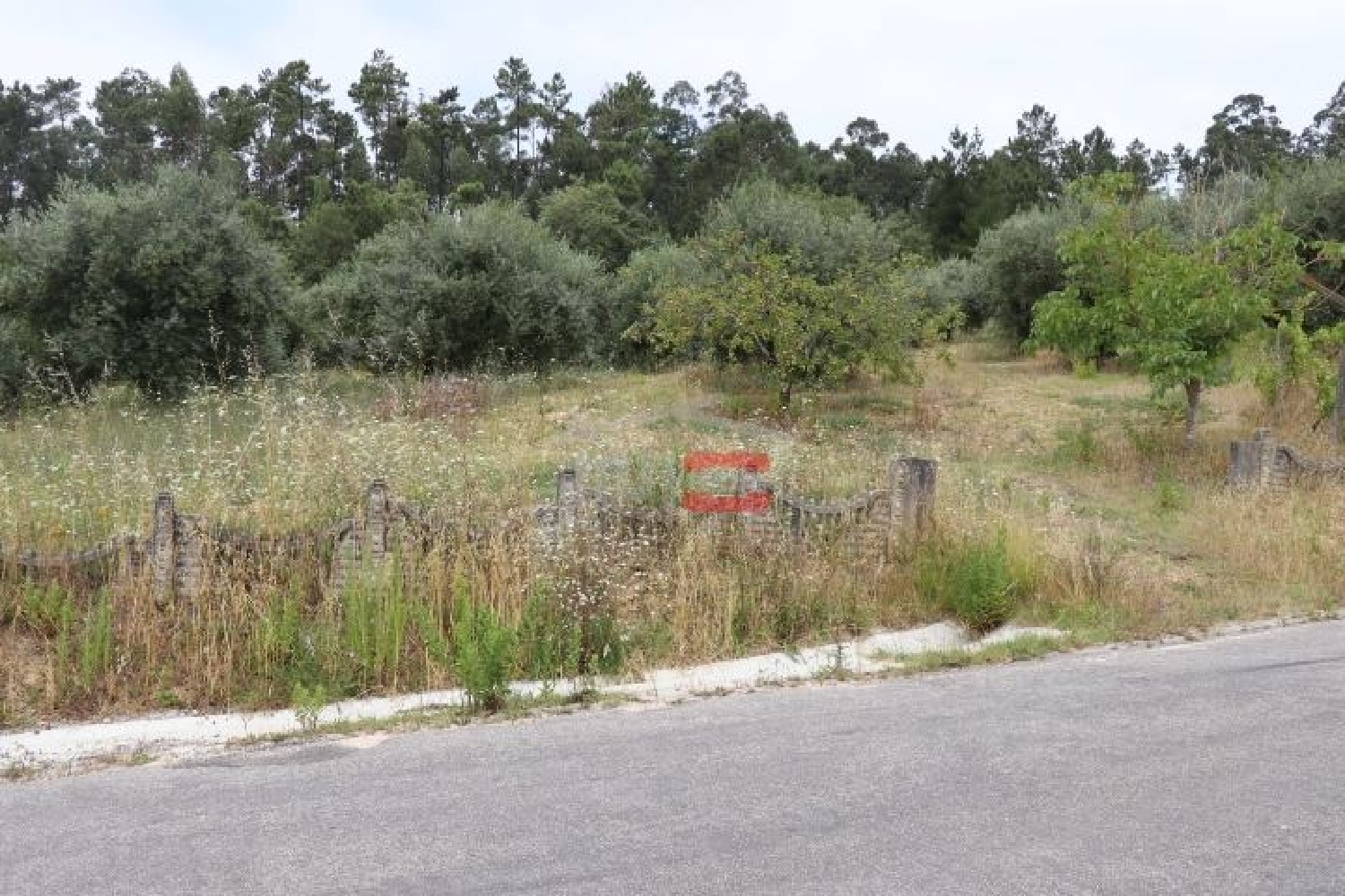 for sale terrain Caxarias Ourém 3