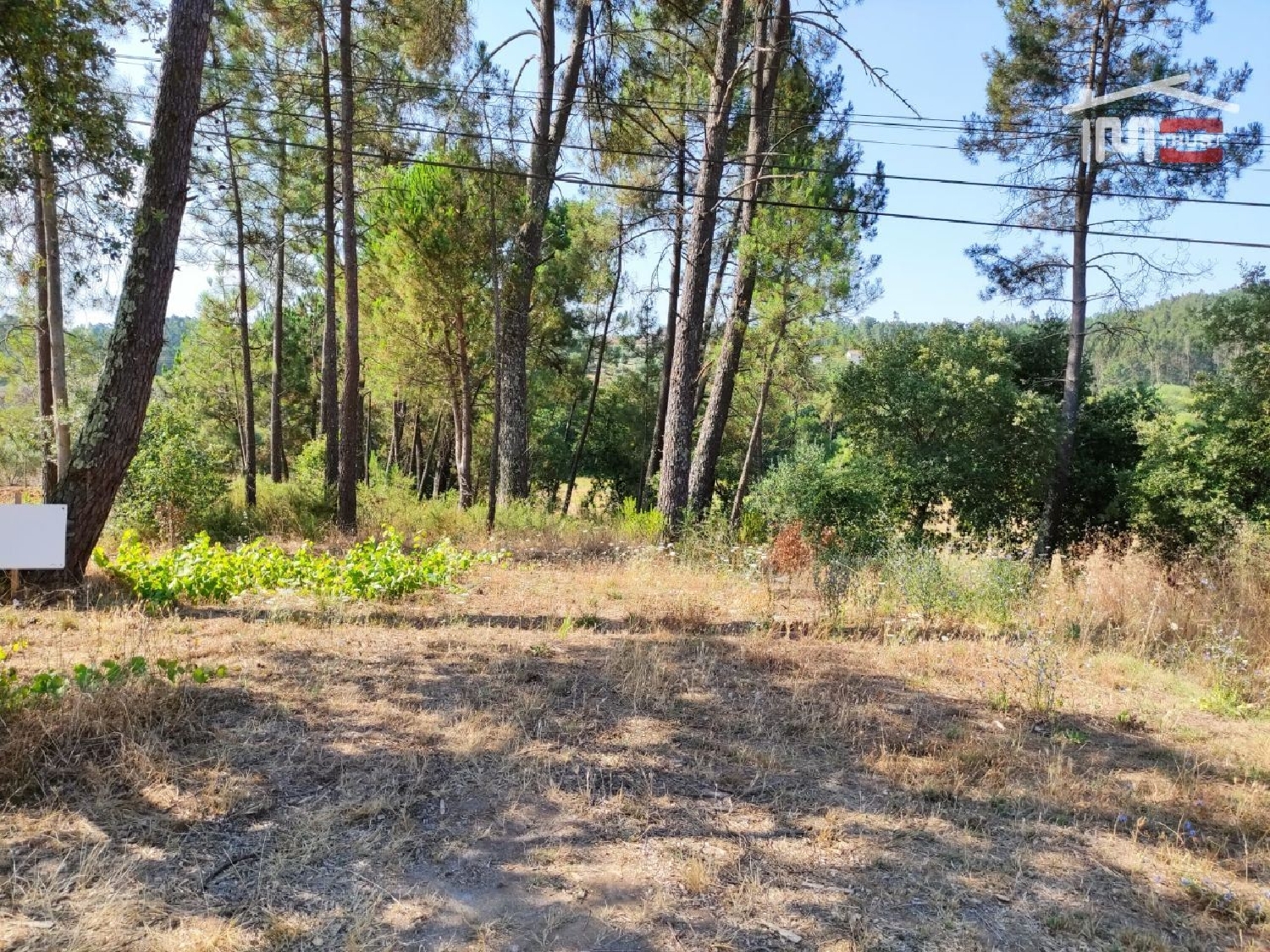  for sale terrain Caxarias Ourém 1