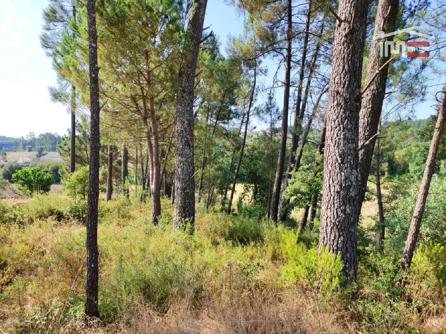 for sale terrain Caxarias Ourém 2