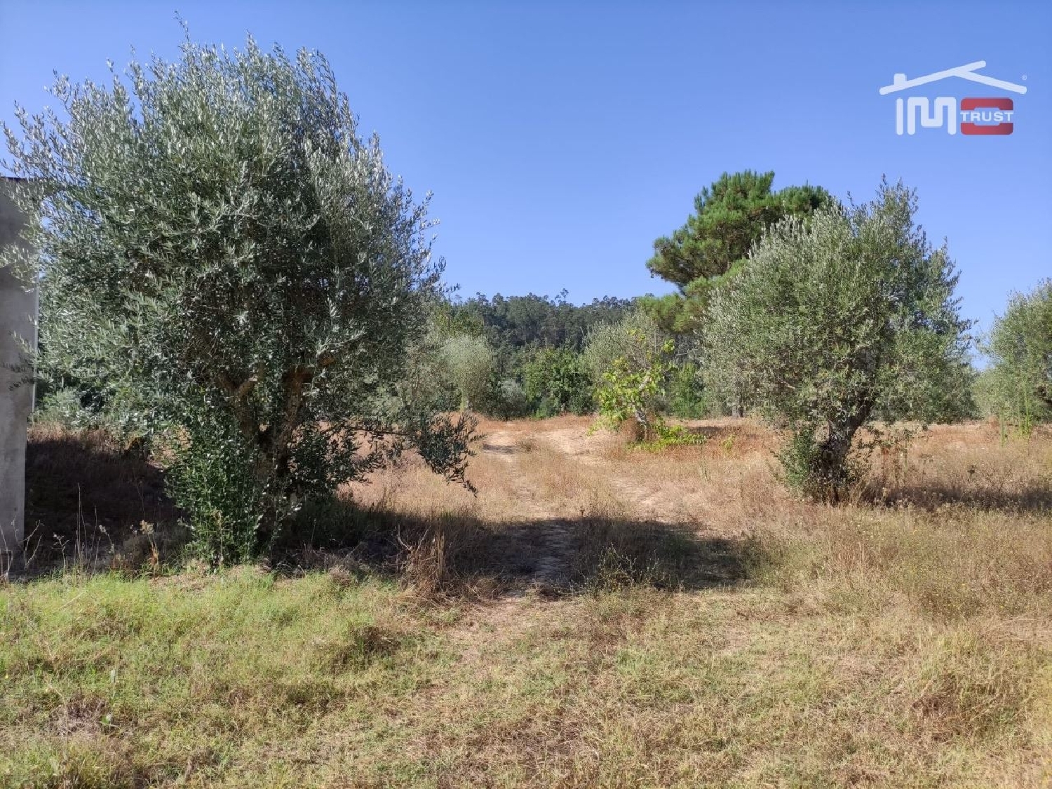 for sale terrain Caxarias Ourém 2
