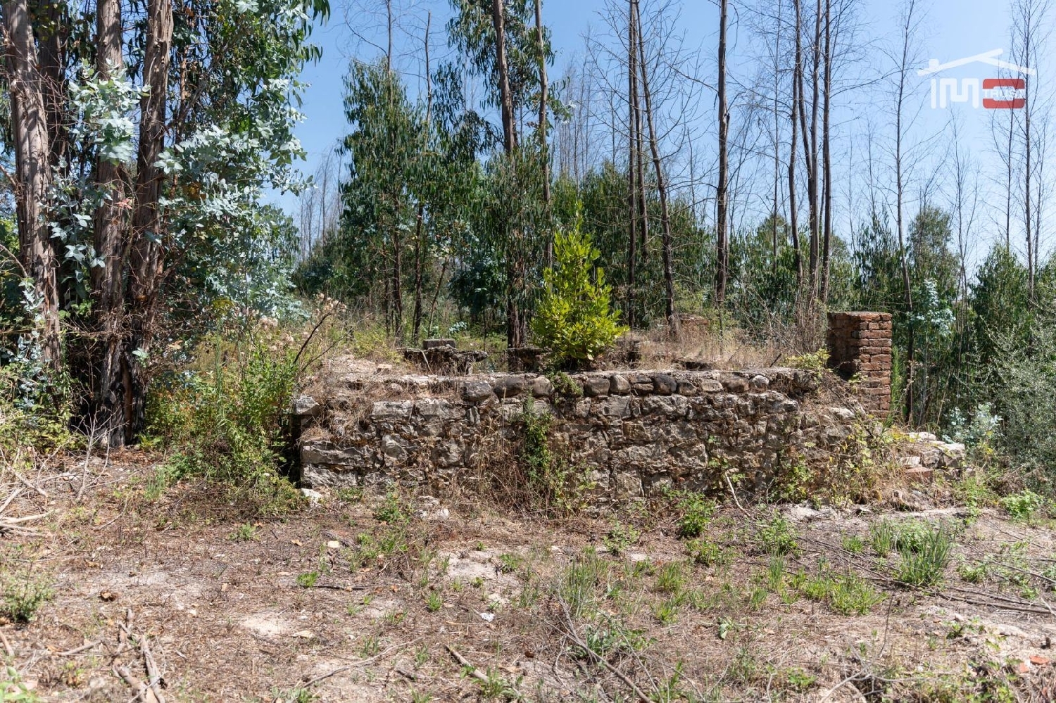 for sale terrain Caxarias Ourém 3