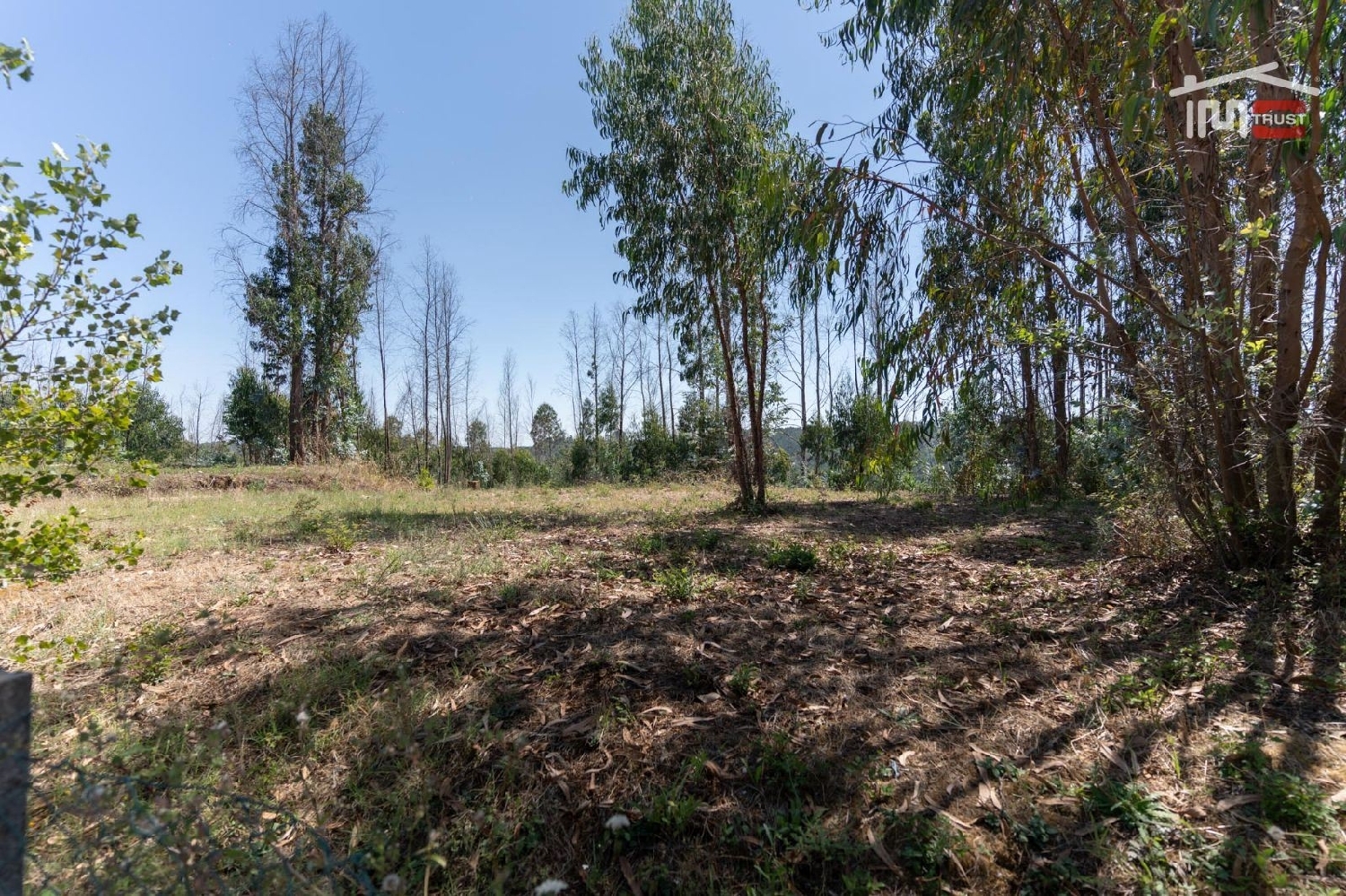  for sale terrain Caxarias Ourém 1