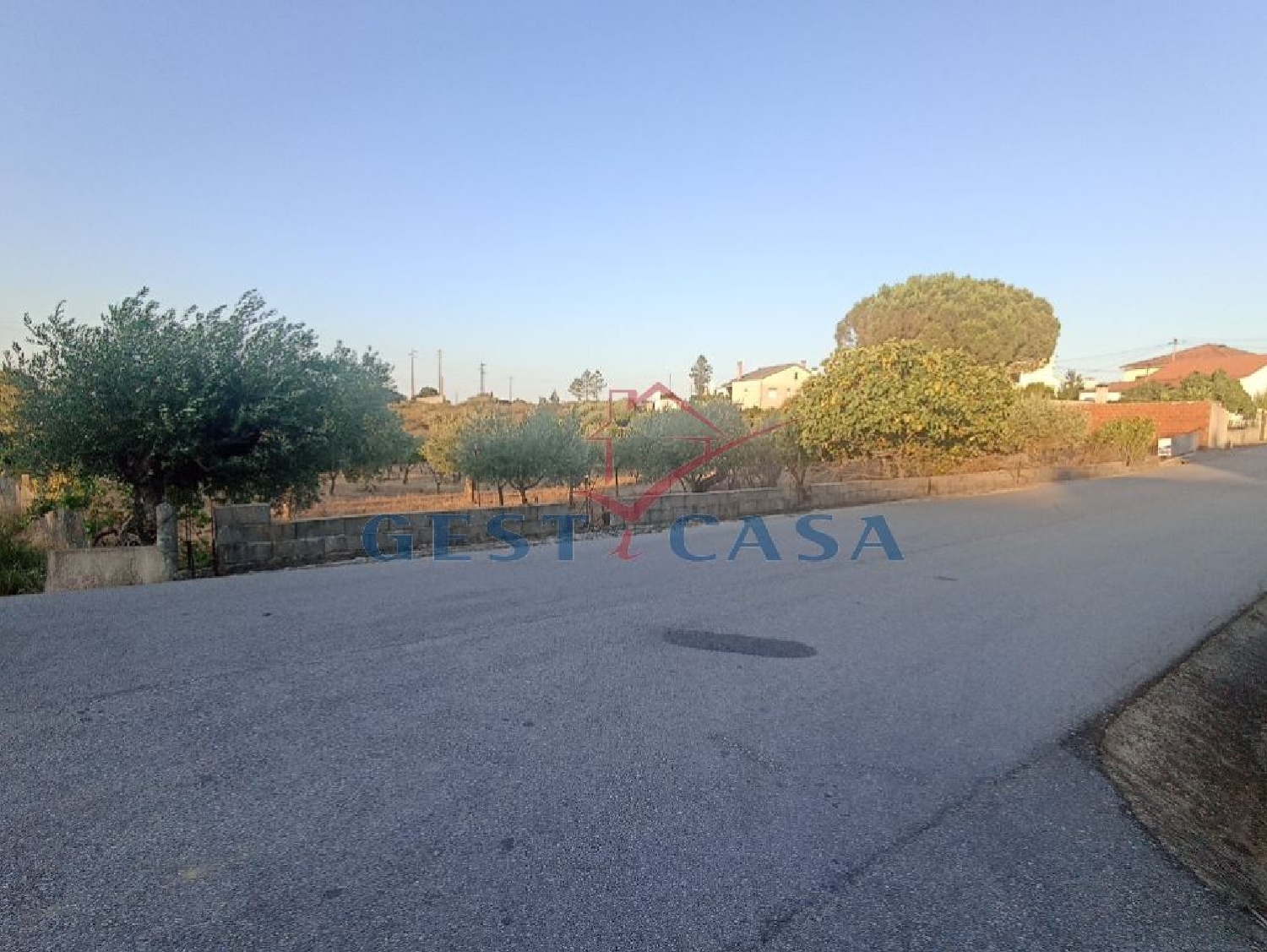  te koop terrein Cebolais de Cima Castelo Branco 1