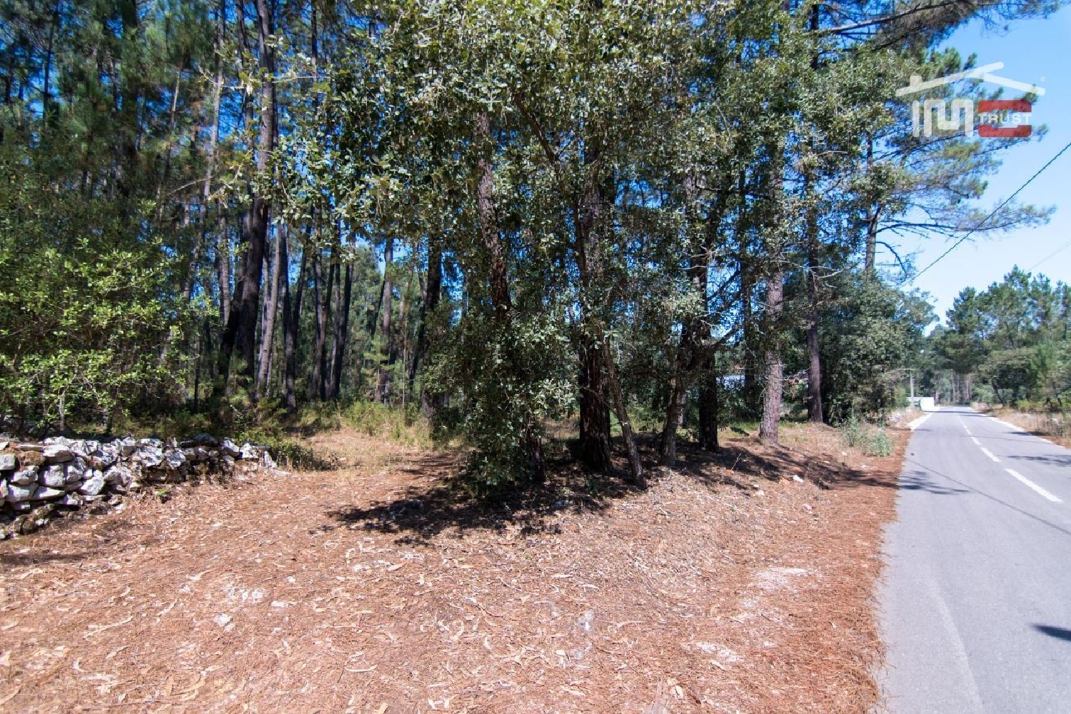  en venta terreno Cela Batalha 1