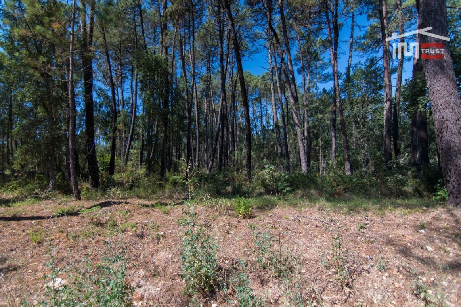  en venta terreno Cela Batalha 3