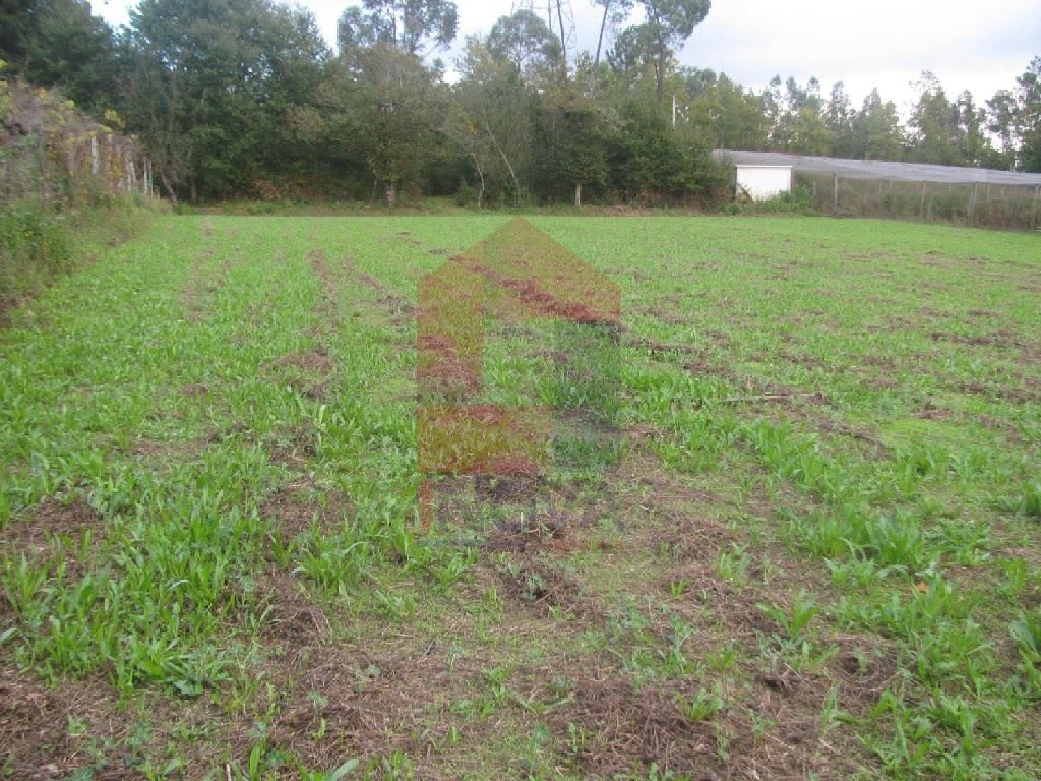  te koop terrein Cerdeiras Vila Verde 1
