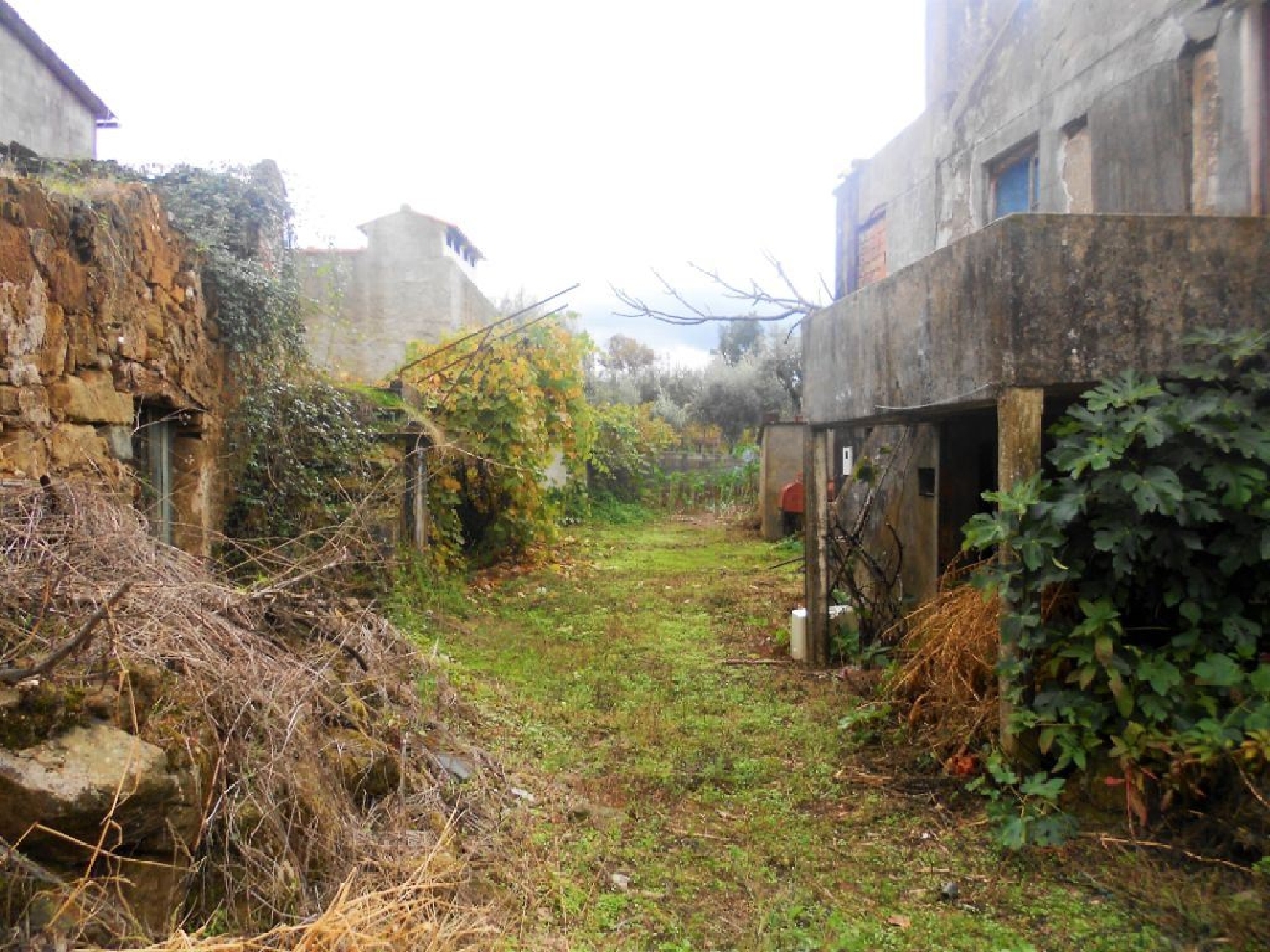 te koop terrein Cernache do Bonjardim Sertã 3