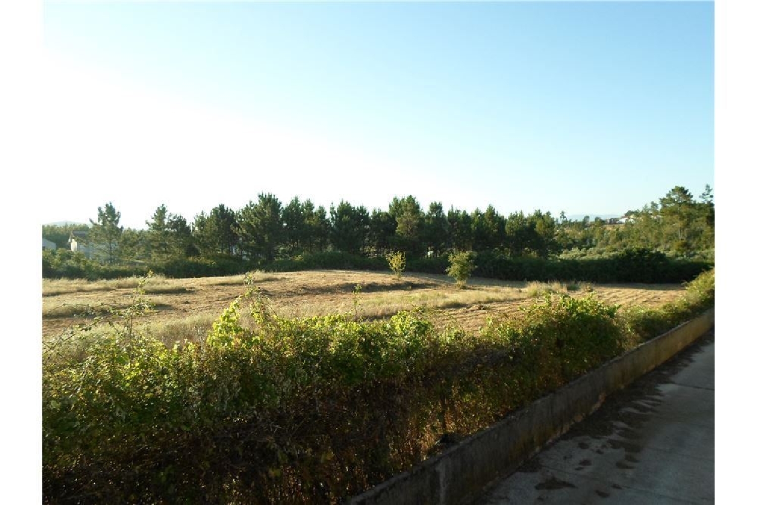  te koop terrein Cernache do Bonjardim Sertã 1
