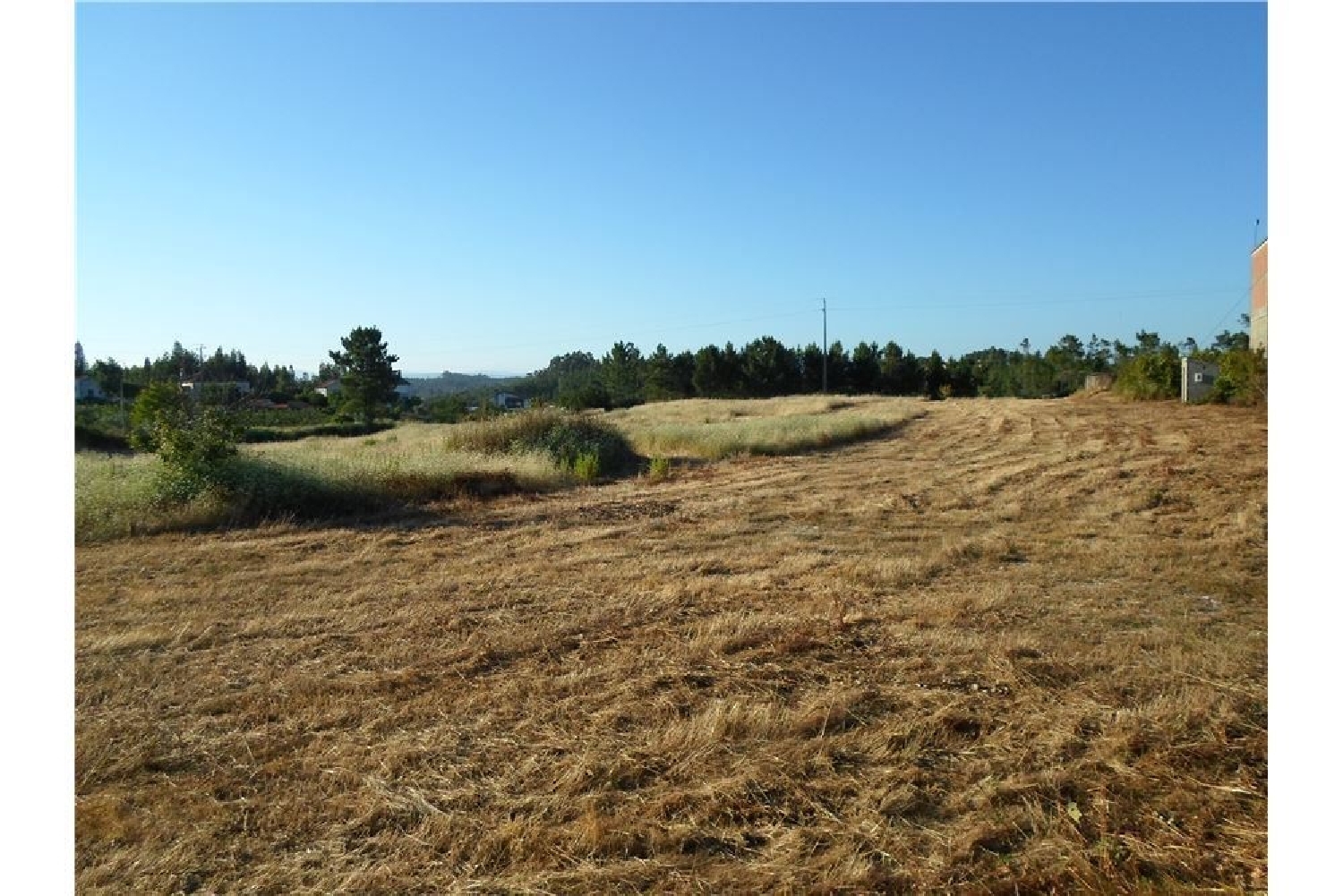 à vendre terrain Cernache do Bonjardim Sertã 2