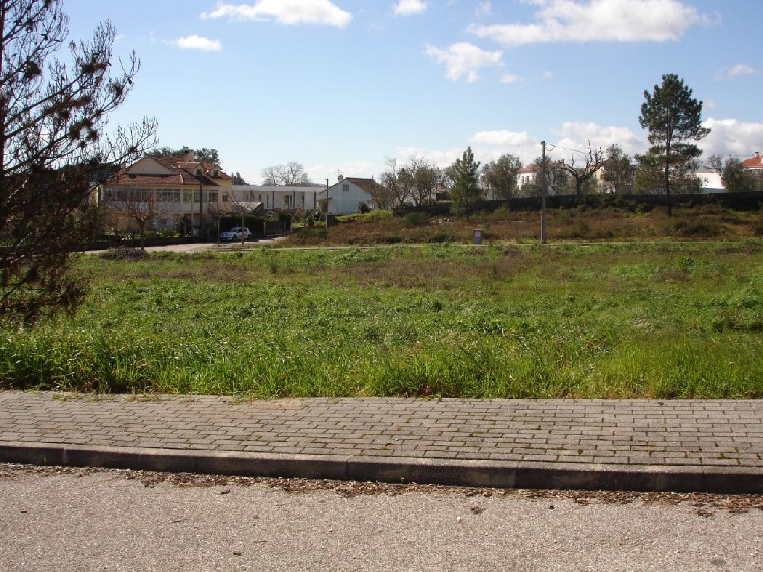  à vendre terrain Cernache do Bonjardim Sertã 1