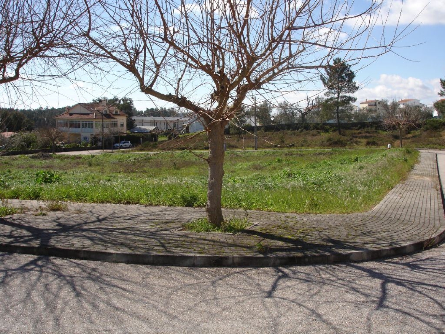  te koop terrein Cernache do Bonjardim Sertã 1