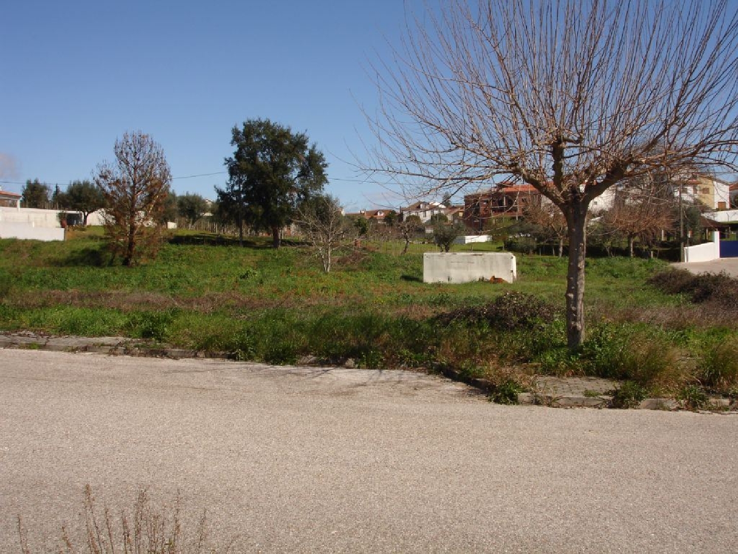  à vendre terrain Cernache do Bonjardim Sertã 1