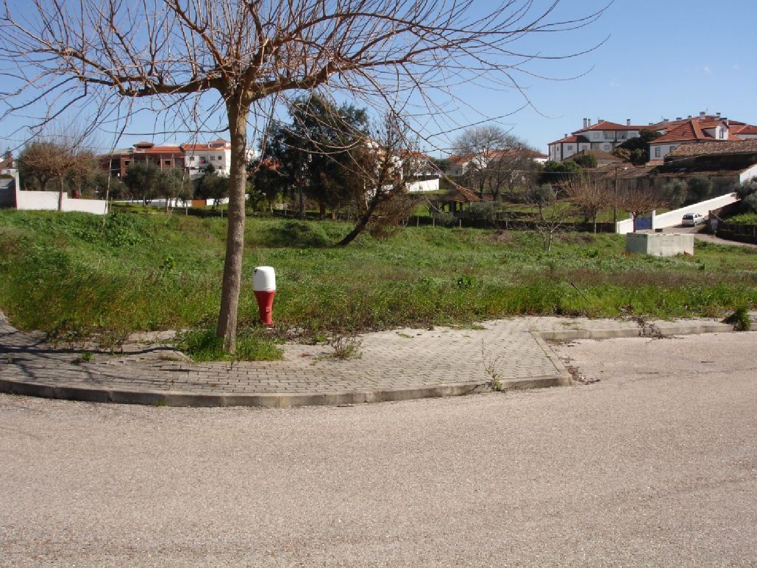  à vendre terrain Cernache do Bonjardim Sertã 1
