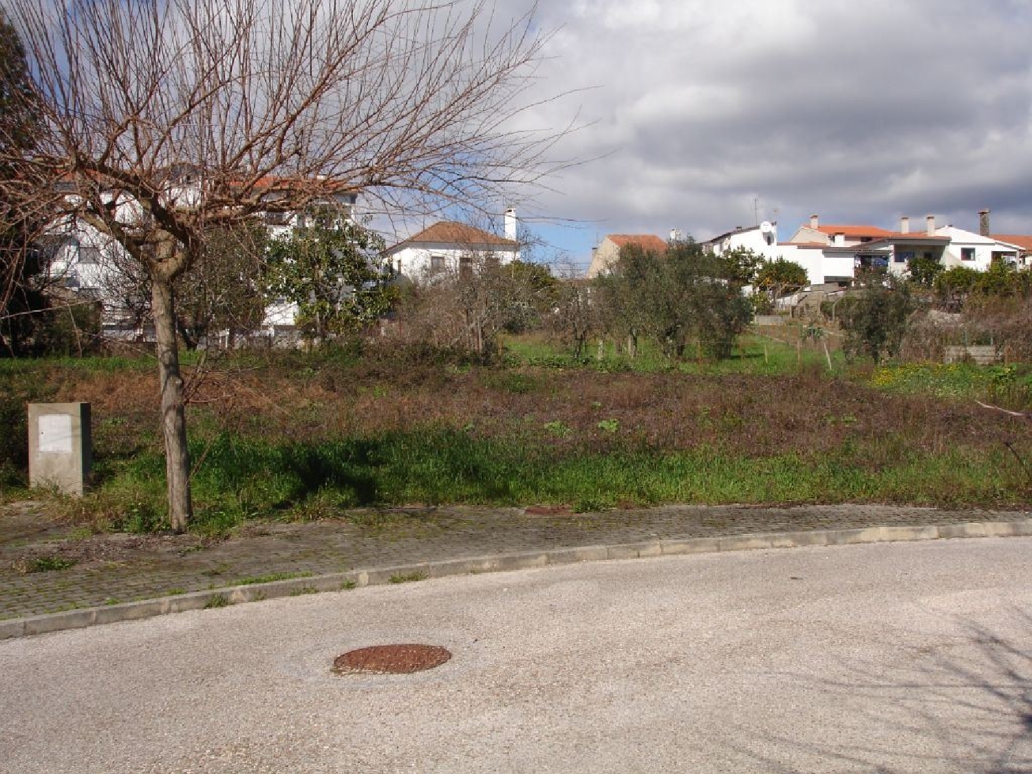  à vendre terrain Cernache do Bonjardim Sertã 1