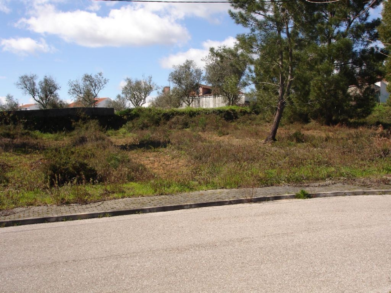  à vendre terrain Cernache do Bonjardim Sertã 1