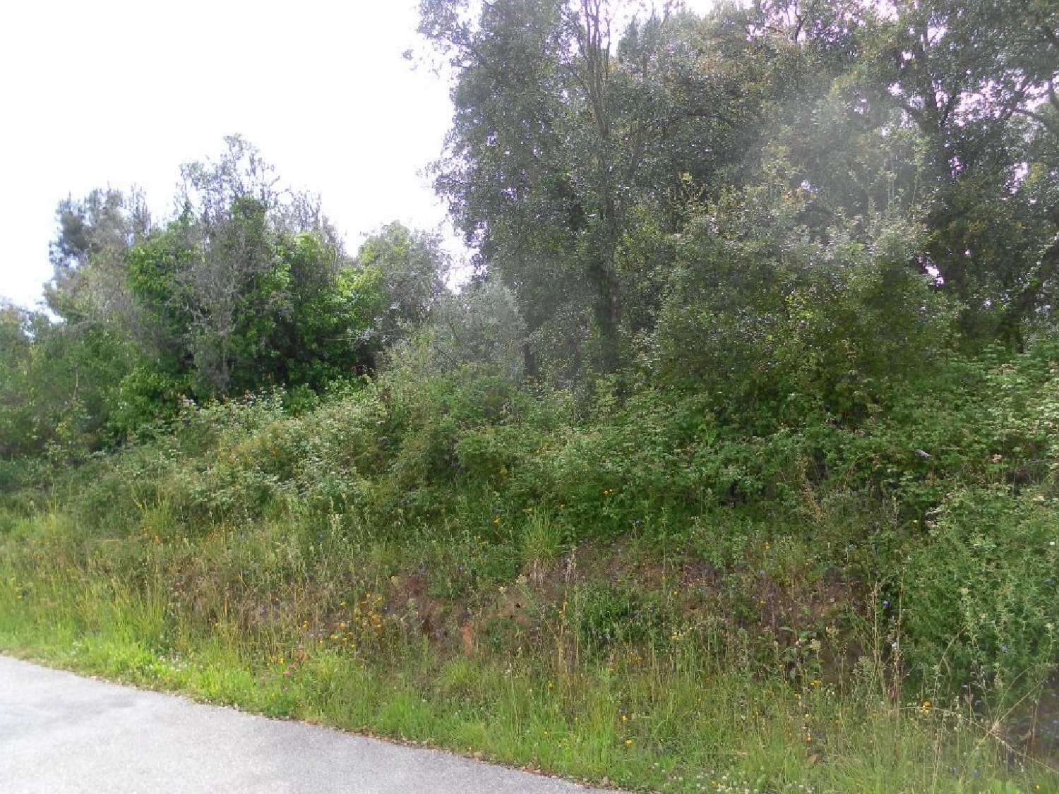 te koop terrein Cernache do Bonjardim Sertã 2