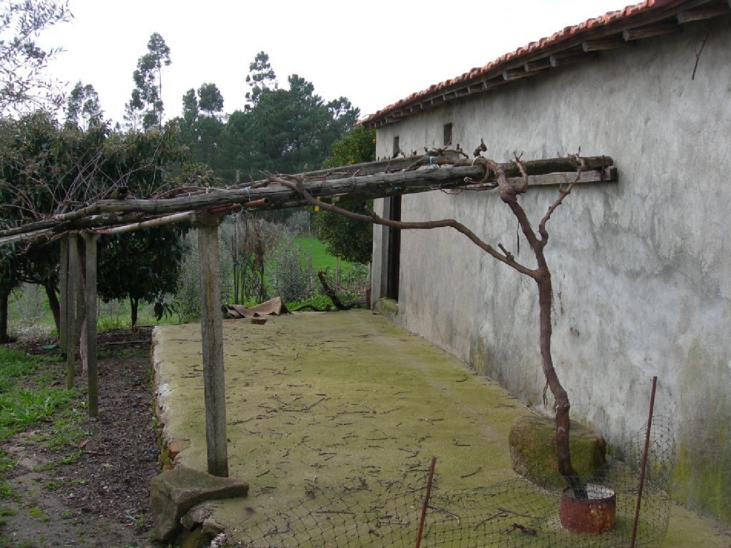 à vendre terrain Cernache do Bonjardim Sertã 3