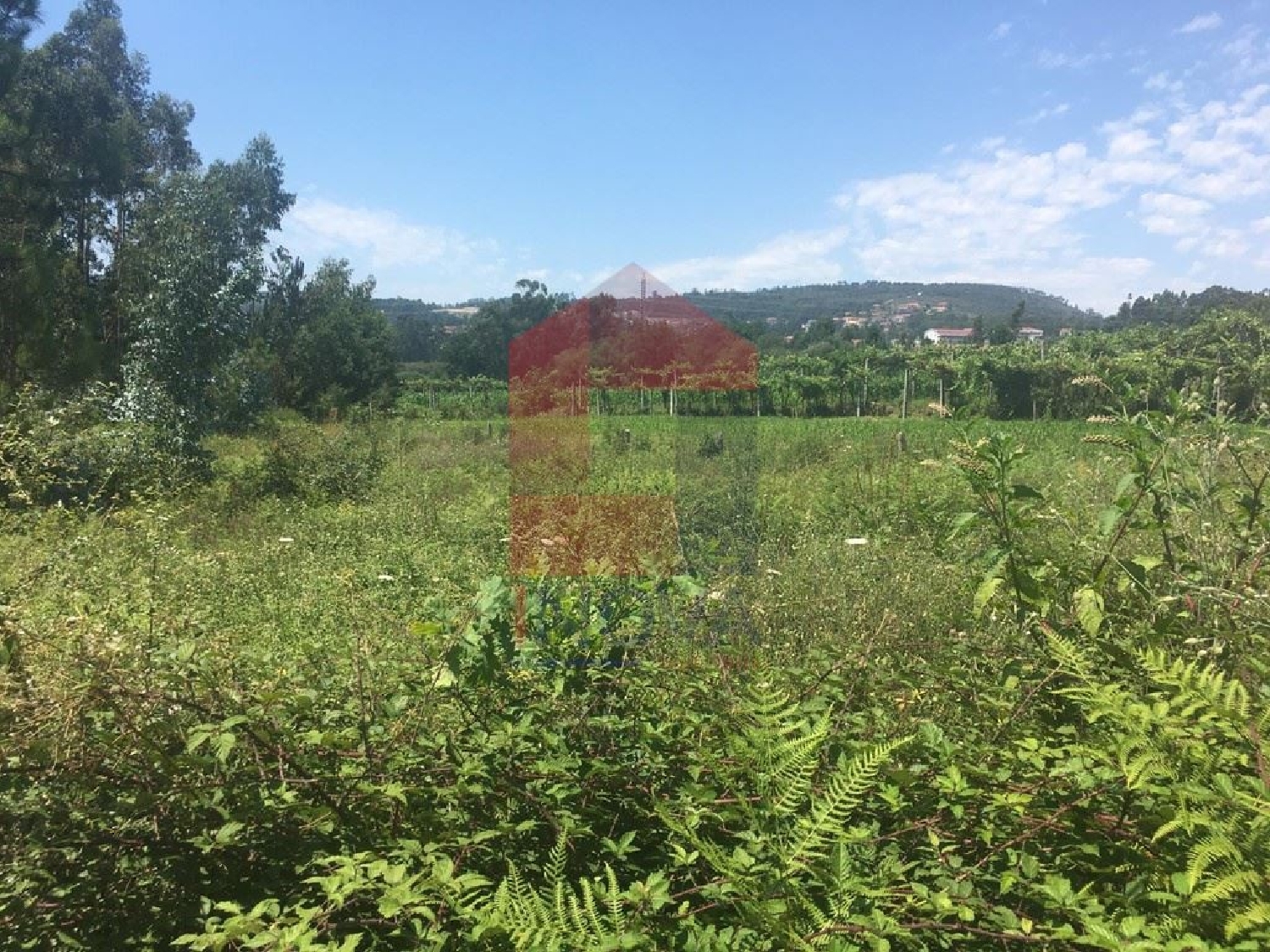  en venta terreno Cervães Vila Verde 1