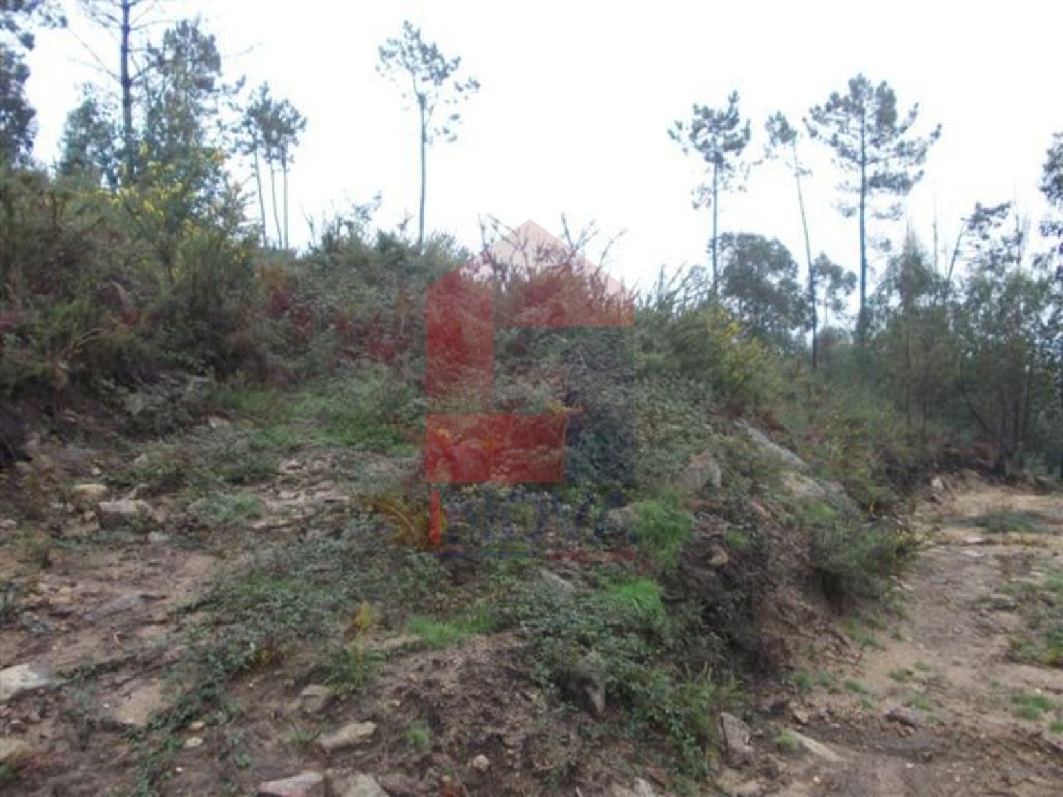  te koop terrein Cervães Vila Verde 1