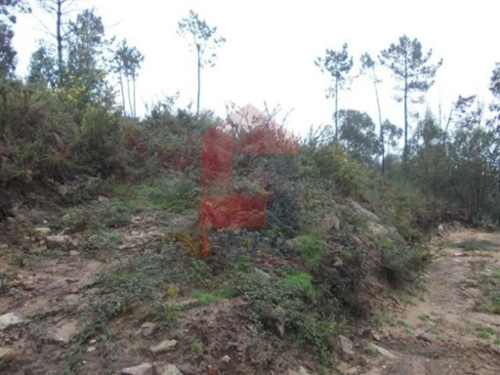 Cervães Vila Verde terrein foto 325537