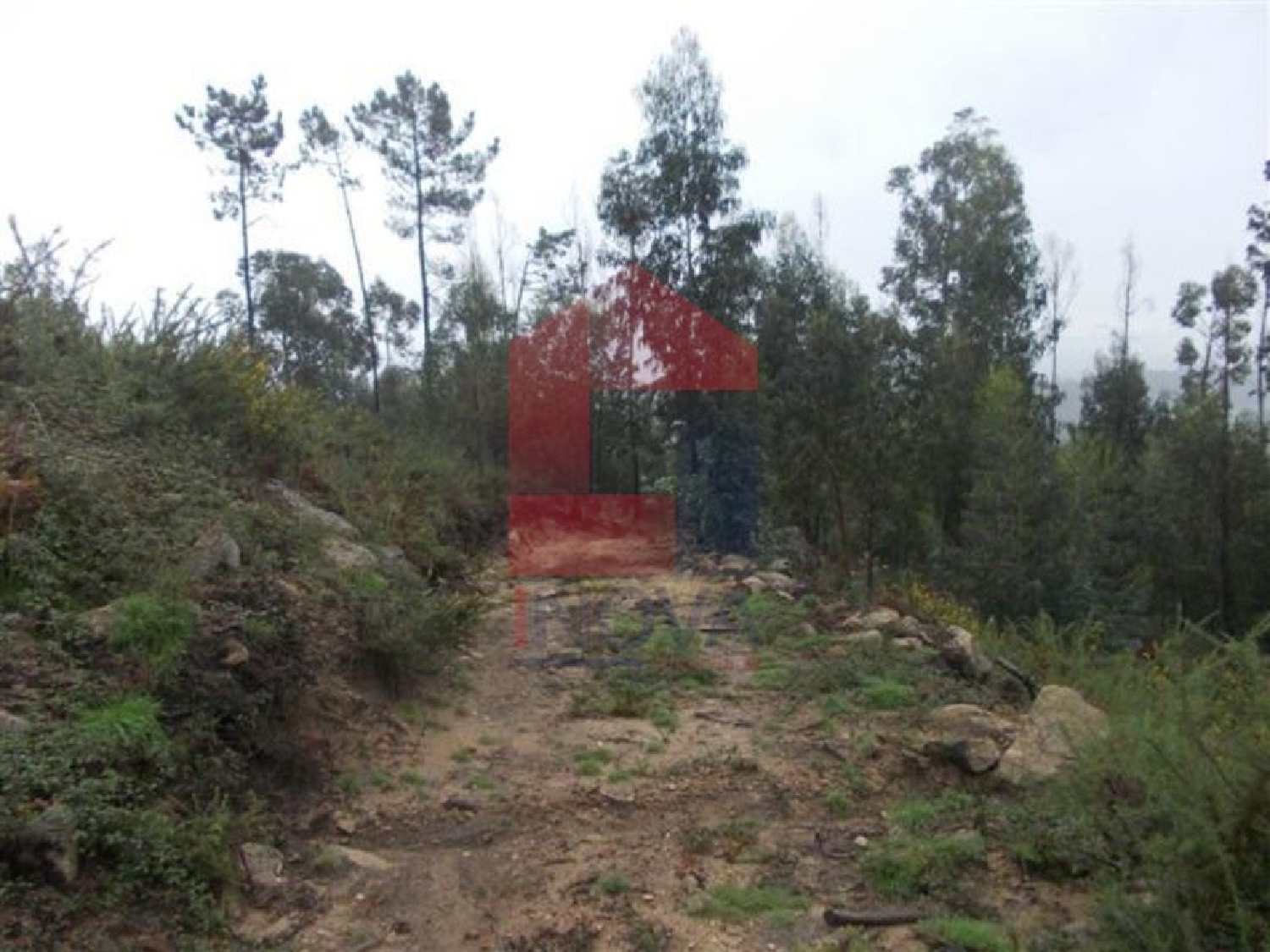 te koop terrein Cervães Vila Verde 2