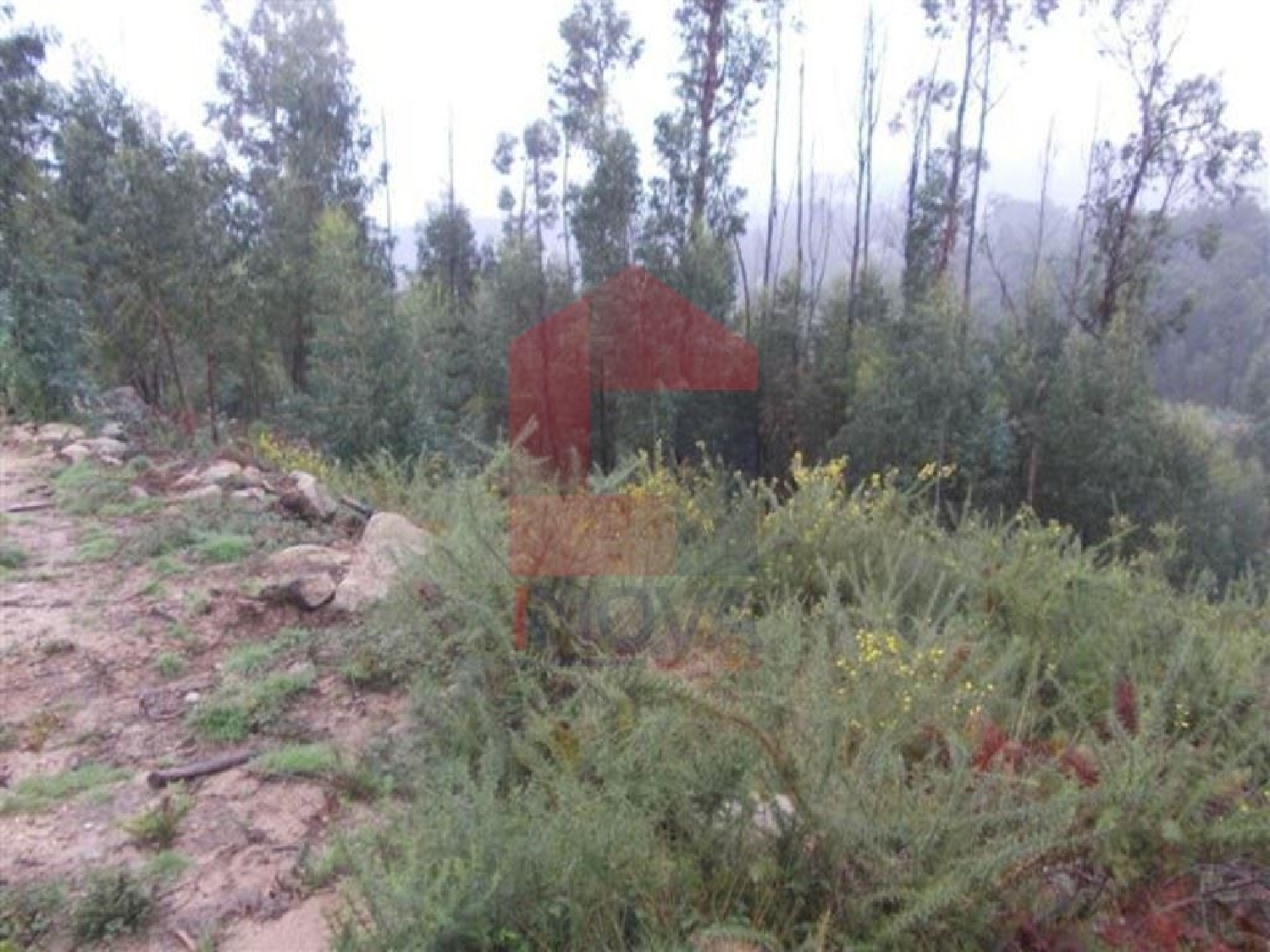 te koop terrein Cervães Vila Verde 3