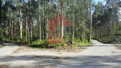 Cervães Vila Verde terrein foto 325642