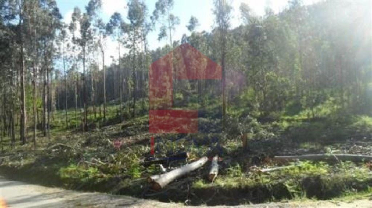te koop terrein Cervães Vila Verde 2