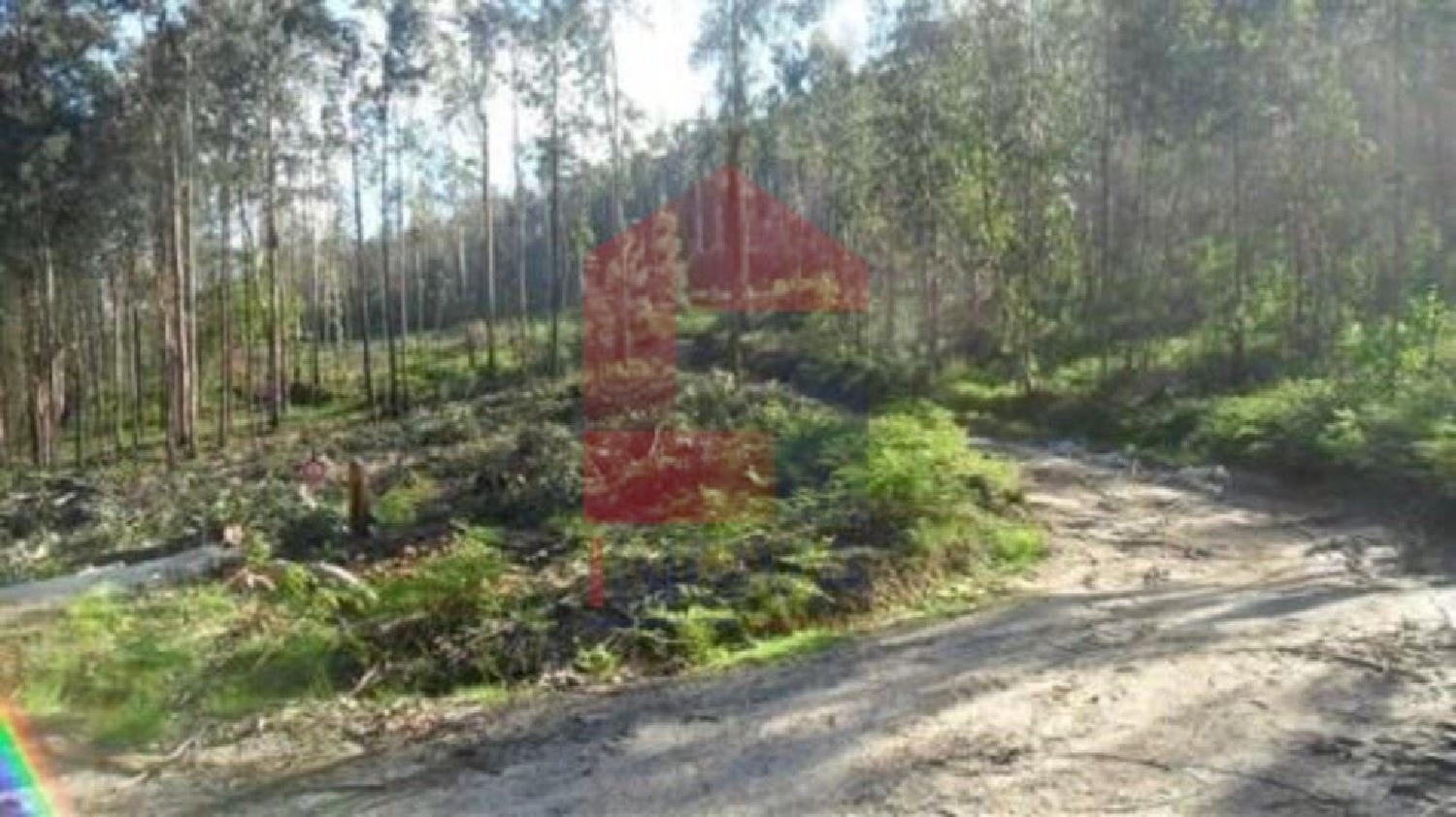 te koop terrein Cervães Vila Verde 3