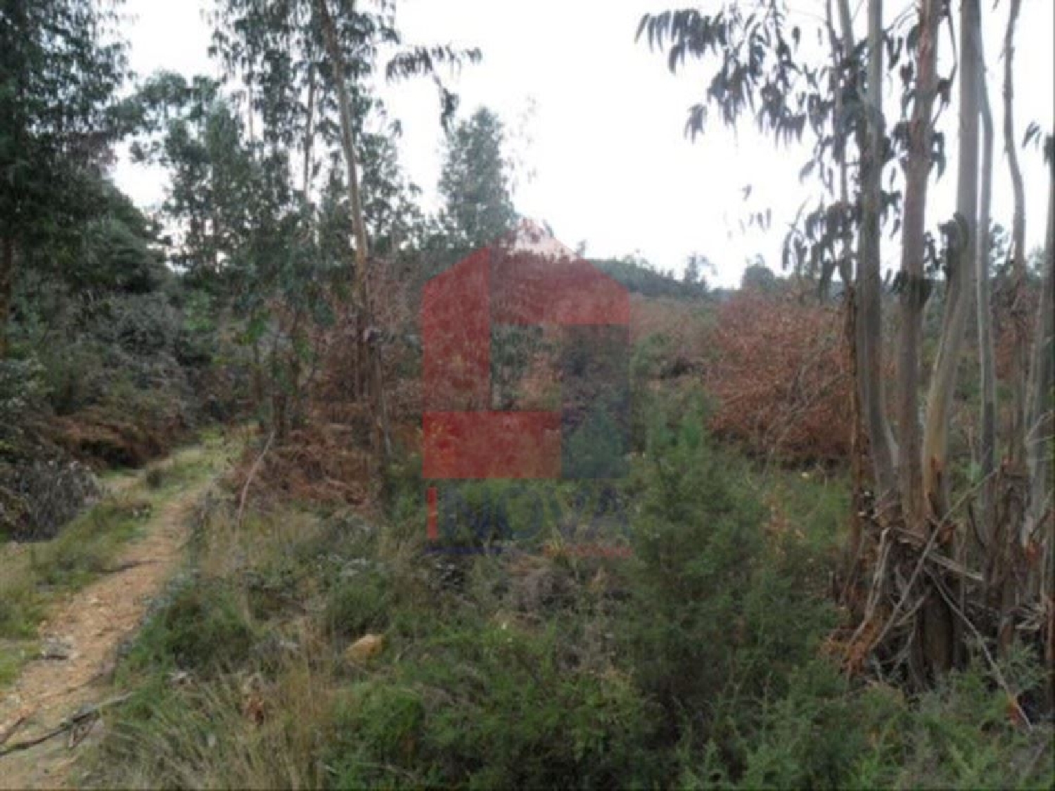  kaufen Grundstück Cervães Vila Verde 1